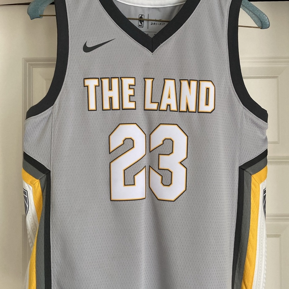 Lebron James The Land youth med basketball jersey
